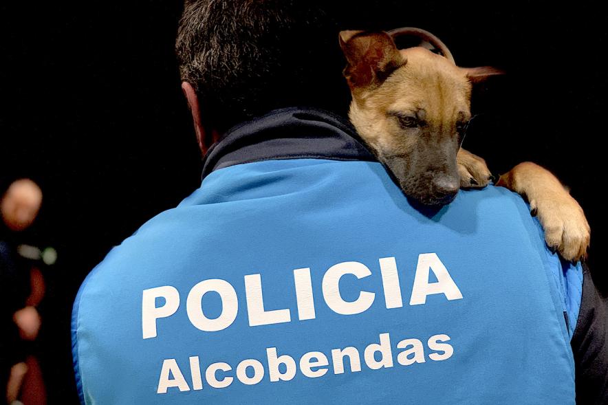 Entrega de Cachorros a Unidad Canina Policia Local de Granada - Imagen de un policía de Alcobendas con un cachorro en sus brazos.
