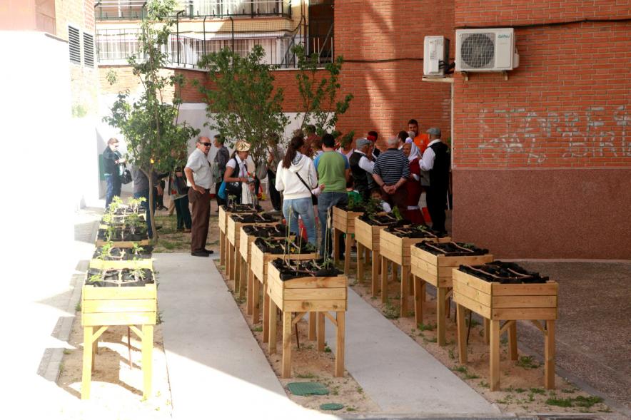 San Isidro 2017 - Verbena en Centro de Mayores Calle Daoiz con detalle en huerto urbano