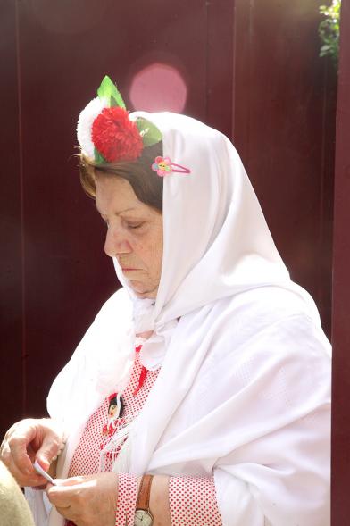 Señora con Chal, vestida de chulapa