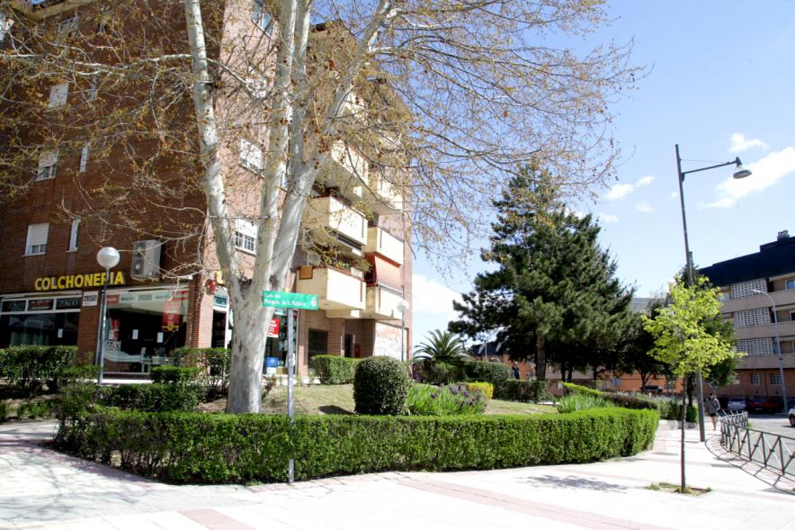 Visita Remodelación Esquina Calle Marqués de la Vldavia y Calle Ruperto Chapí - Imagen del jardín que han hecho en la esquina.