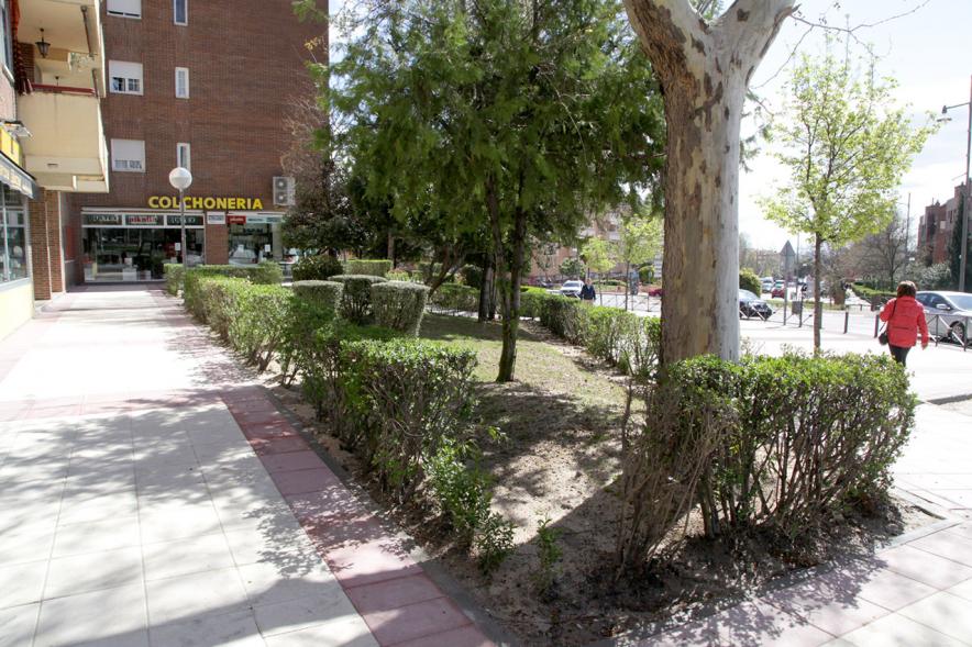 Visita Remodelación Esquina Calle Marqués de la Vldavia y Calle Ruperto Chapí - Imagen del jardín que han hecho y una gran acera.