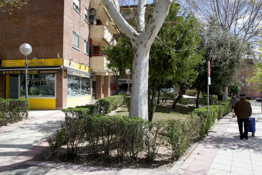 Visita Remodelación Esquina Calle Marqués de la Vldavia y Calle Ruperto Chapí - Imagen del jardín que han hecho y una gran acera.