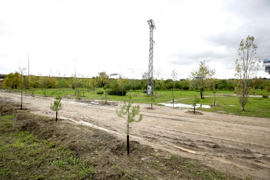  Visita al Arco Verde de la Consejera de Medio Ambiente de la CAM – 2020