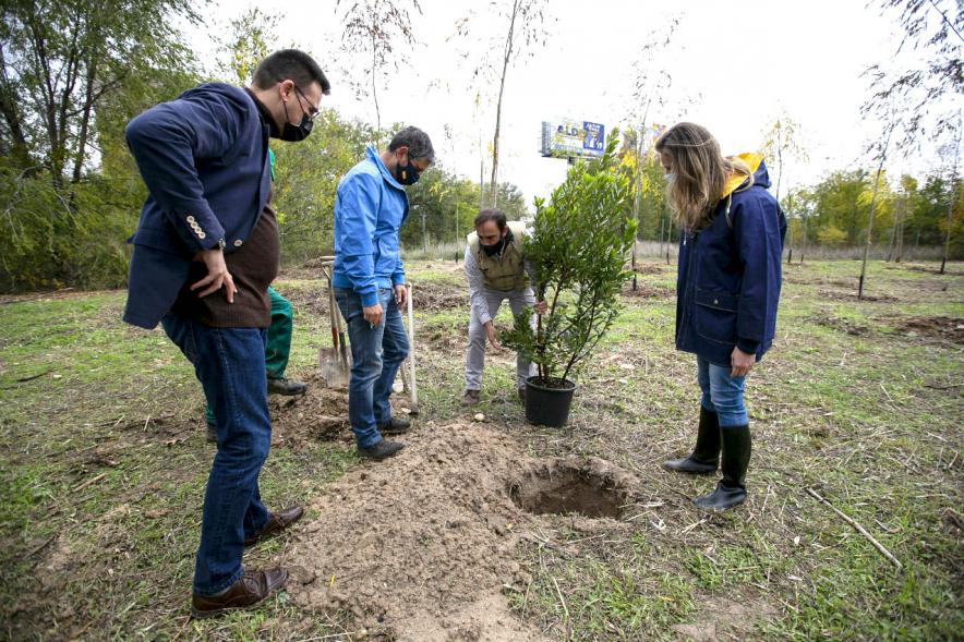 Plantación de arboles. Visita al Arco Verde de la Consejera de Medio Ambiente de la CAM – 2020