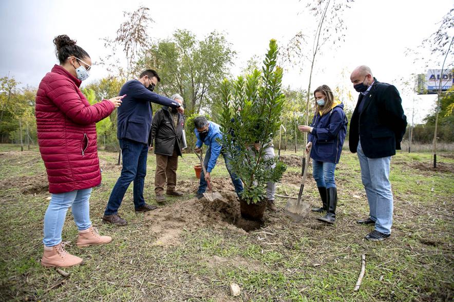 Alcalde Rafael Sanchez, concejal Miguel Angel Arranz, consejara de Medio Ambiente Paloma Martin y Autoridades. Visita al Arco Verde de la Consejera de Medio Ambiente de la CAM – 2020