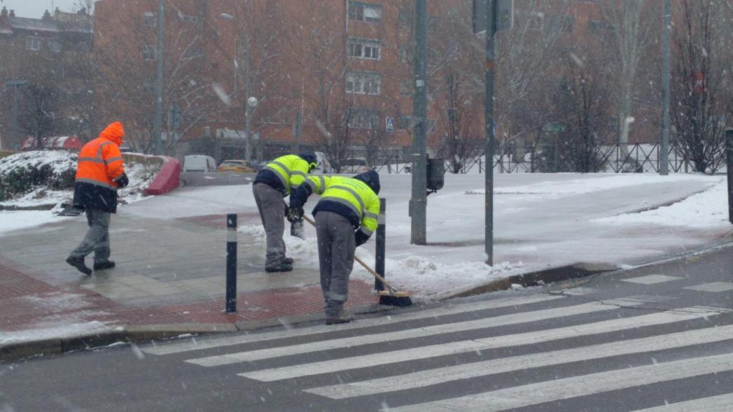 Limpieza de pasas de cebra