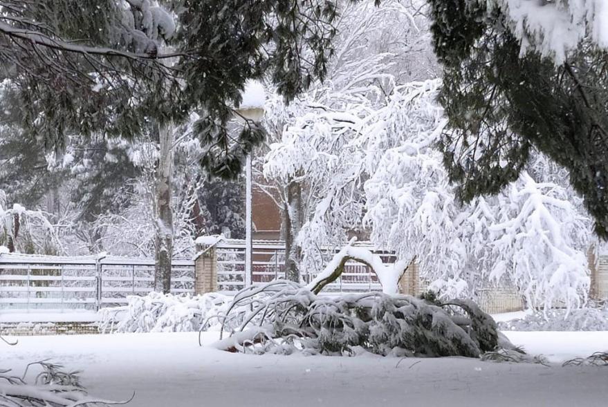 Parque nevado