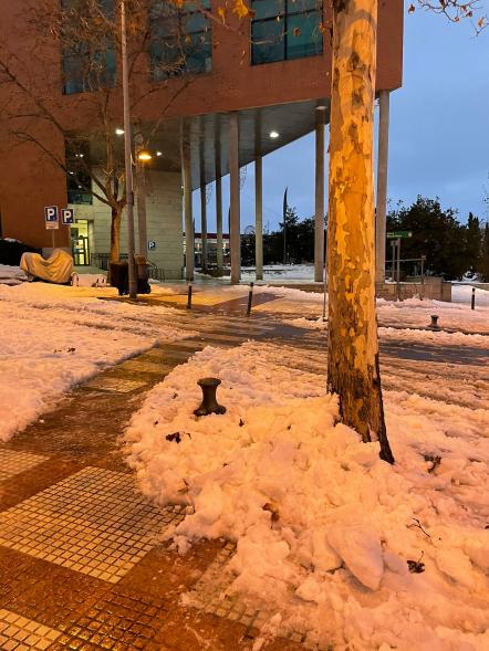 Paso abierto entre la nieve