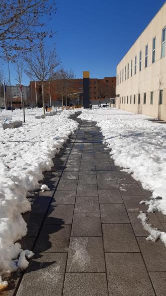 Paso abierto entre la nieve