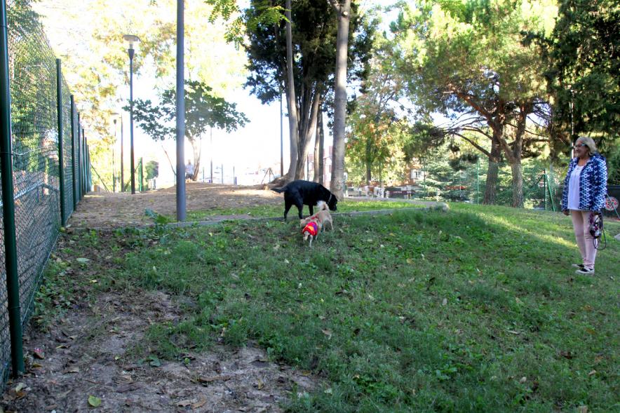 Visita a la Nueva Zona de Perros en Libertad en Distrito Centro - Imagen de unos perros utilizando su nueva zona.