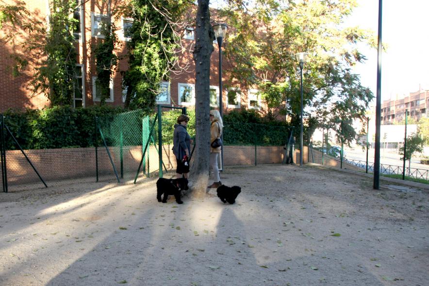 Visita a la Nueva Zona de Perros en Libertad en Distrito Centro - Imagen de unos perros utilizando su nueva zona.
