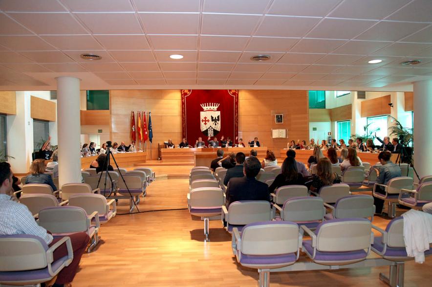 Sesión plenaria vista desde el fondo del salón de plenos