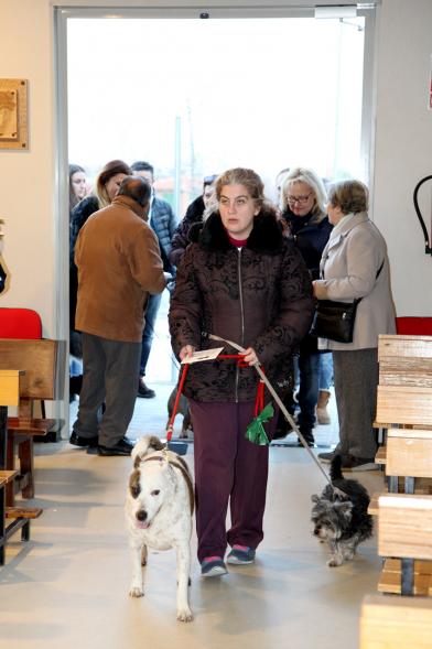 Bendición de Animales por San Antón en la Parroquia San Juan XXIII - Imagen de una persona entrando en la iglesia con sus perros.