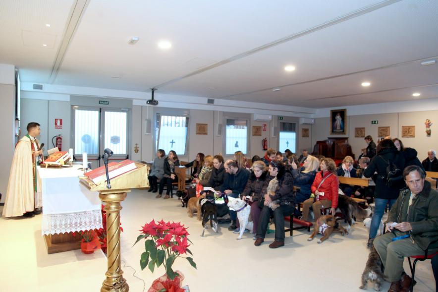 Bendición de Animales por San Antón en la Parroquia San Juan XXIII - Imagen de un momento de la misa, donde algunas personas están con sus mascotas.