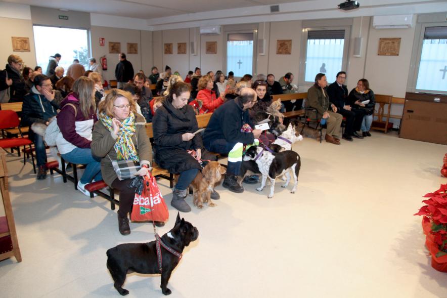 Bendición de Animales por San Antón en la Parroquia San Juan XXIII - Imagen plano general del público asistente a la misa. 