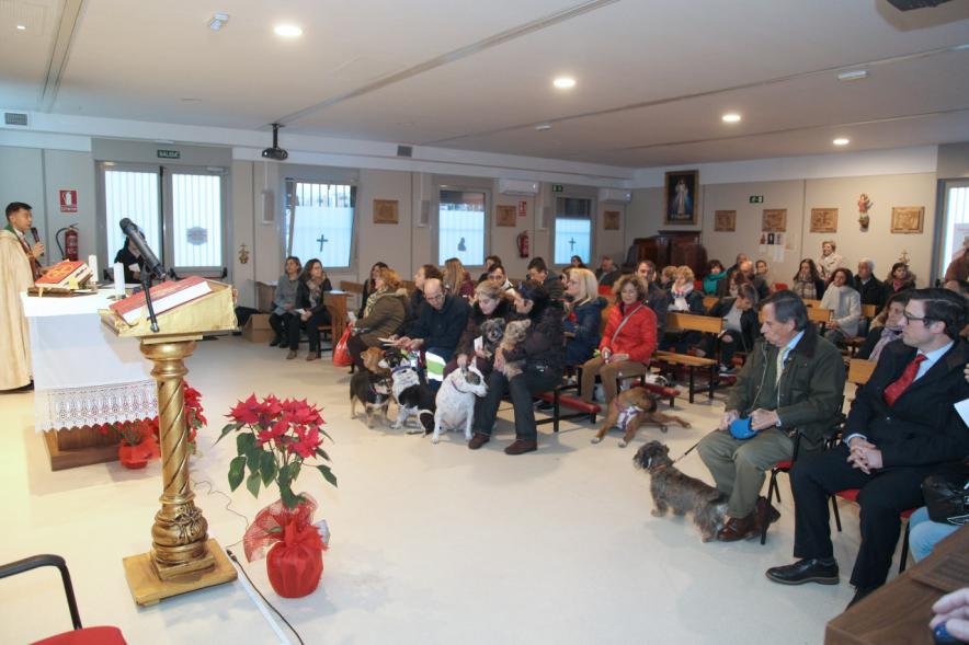 Bendición de Animales por San Antón en la Parroquia San Juan XXIII - Imagen de un momento de la misa, donde algunas personas están con sus mascotas.