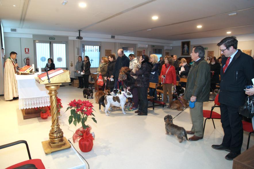 Bendición de Animales por San Antón en la Parroquia San Juan XXIII - Imagen de un momento de la misa, donde algunas personas están con sus mascotas.