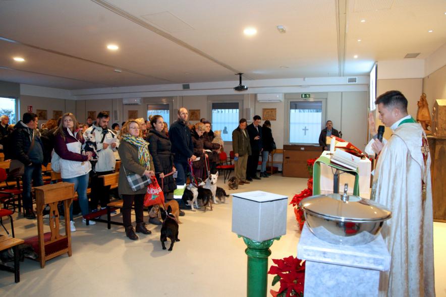 Bendición de Animales por San Antón en la Parroquia San Juan XXIII - Imagen de un momento de la misa, donde algunas personas están con sus mascotas.