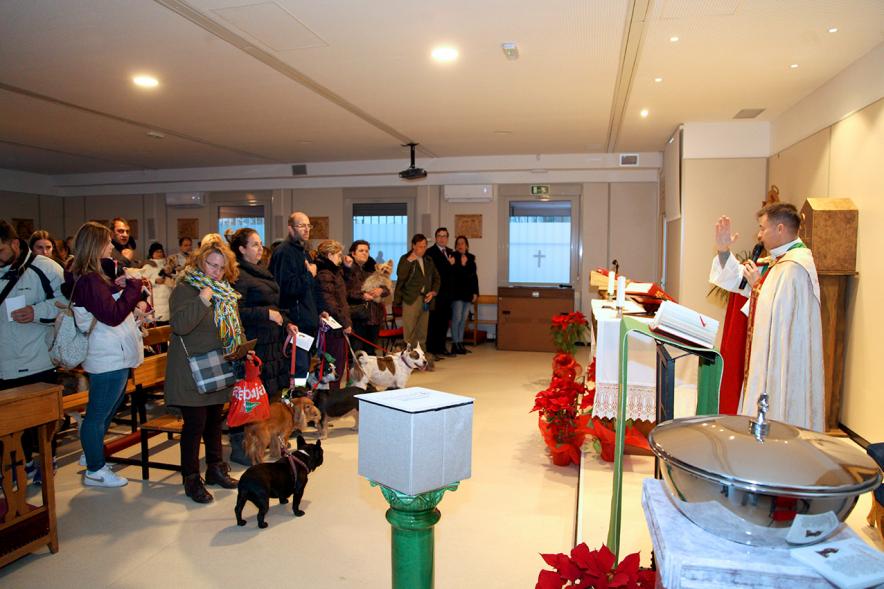 Bendición de Animales por San Antón en la Parroquia San Juan XXIII - Imagen plano general del público asistente a la misa. 