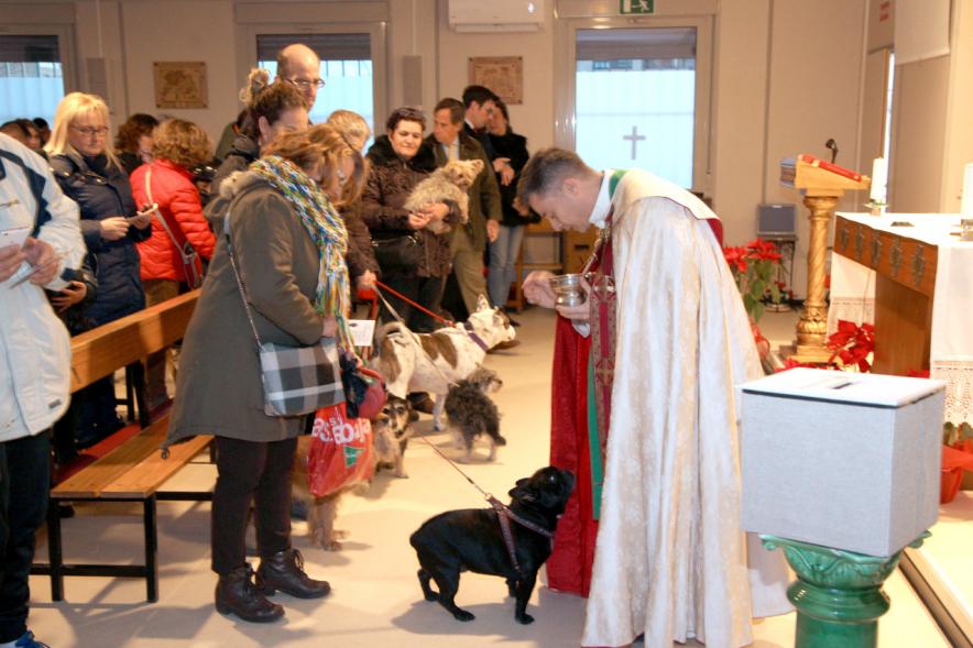 Bendición de Animales por San Antón en la Parroquia San Juan XXIII - Imagen del interior de la Parroquia San Juan XXIII donde el cura esta bendiciendo a los animales, en su mayoría perros.