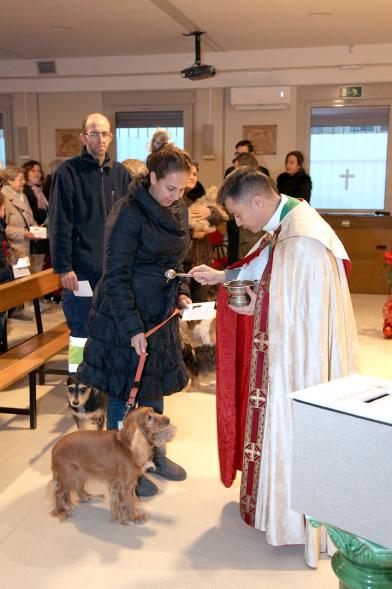 Bendición de Animales por San Antón en la Parroquia San Juan XXIII - Imagen de una persona acercando su perro para que el cura le bendiga.