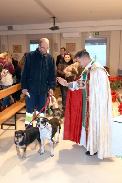 Bendición de Animales por San Antón en la Parroquia San Juan XXIII - Imagen de una persona acercando a sus perros para que el cura les bendiga.