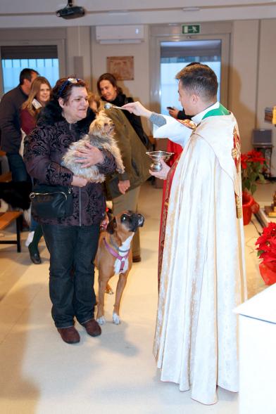 Bendición de Animales por San Antón en la Parroquia San Juan XXIII - Imagen de una persona acercando su perro para que el cura le bendiga.
