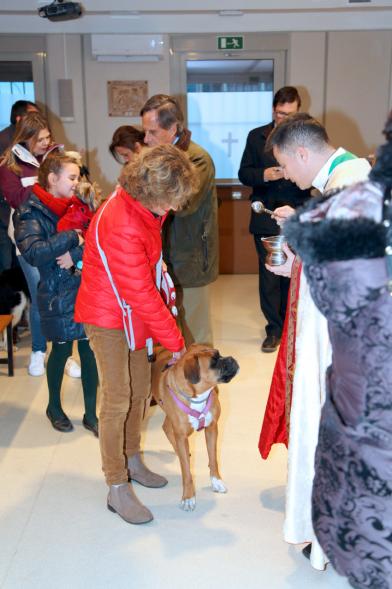 Bendición de Animales por San Antón en la Parroquia San Juan XXIII - Imagen de una persona acercando su perro para que el cura le bendiga.