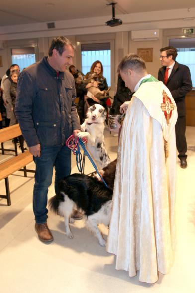 Bendición de Animales por San Antón en la Parroquia San Juan XXIII - Imagen de una persona acercando a sus perros para que el cura les bendiga.