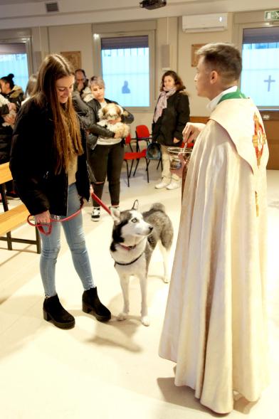 Bendición de Animales por San Antón en la Parroquia San Juan XXIII - Imagen de una persona acercando su perro para que el cura le bendiga.