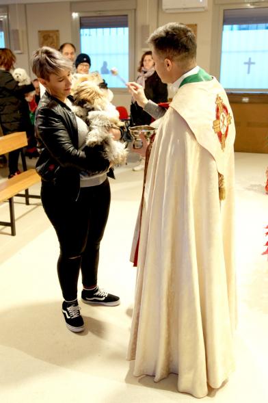 Bendición de Animales por San Antón en la Parroquia San Juan XXIII - Imagen de una persona acercando su perro para que el cura le bendiga.