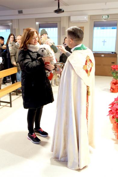 Bendición de Animales por San Antón en la Parroquia San Juan XXIII - Imagen de una persona acercando su perro para que el cura le bendiga