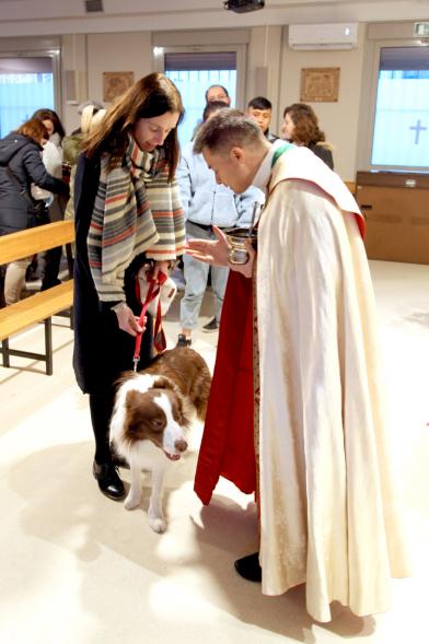 Bendición de Animales por San Antón en la Parroquia San Juan XXIII - Imagen de una persona acercando su perro para que el cura le bendiga.