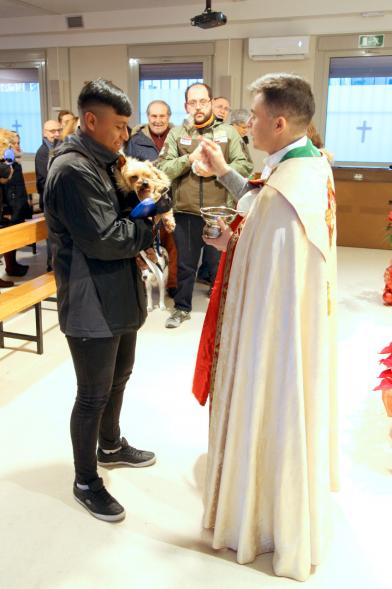 Bendición de Animales por San Antón en la Parroquia San Juan XXIII - Imagen de una persona acercando su perro para que el cura le bendiga.