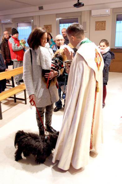 Bendición de Animales por San Antón en la Parroquia San Juan XXIII - Imagen de una persona acercando a sus perros para que el cura les bendiga.