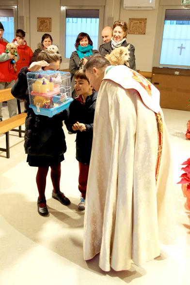 Bendición de Animales por San Antón en la Parroquia San Juan XXIII - Imagen de una persona una llevando a un pájaro.