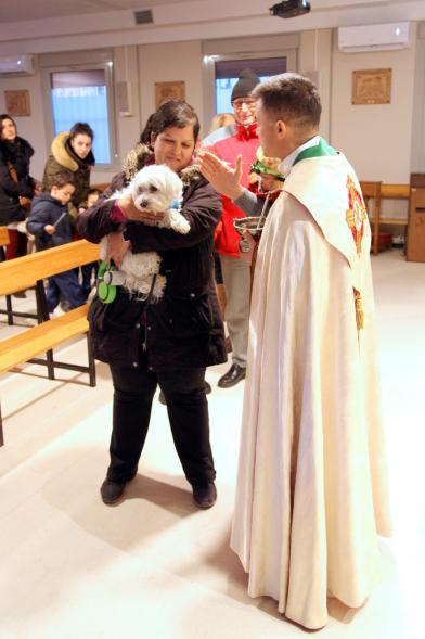 Bendición de Animales por San Antón en la Parroquia San Juan XXIII - Imagen de una persona acercando su perro para que el cura le bendiga.