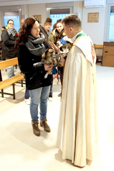 Bendición de Animales por San Antón en la Parroquia San Juan XXIII - Imagen de una persona acercando su perro para que el cura le bendiga.