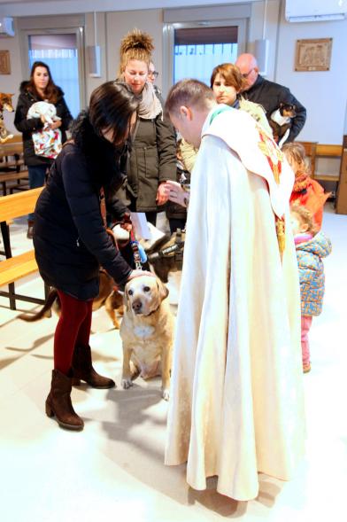 Bendición de Animales por San Antón en la Parroquia San Juan XXIII - Imagen de una persona acercando su perro para que el cura le bendiga.