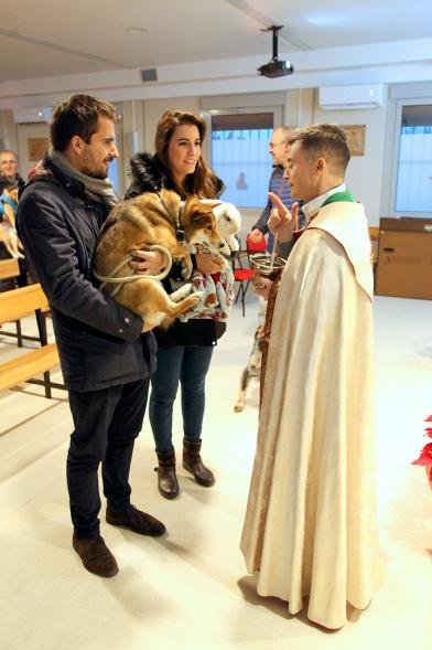 Bendición de Animales por San Antón en la Parroquia San Juan XXIII - Imagen de una familia acercando sus perros para que el cura los bendiga.