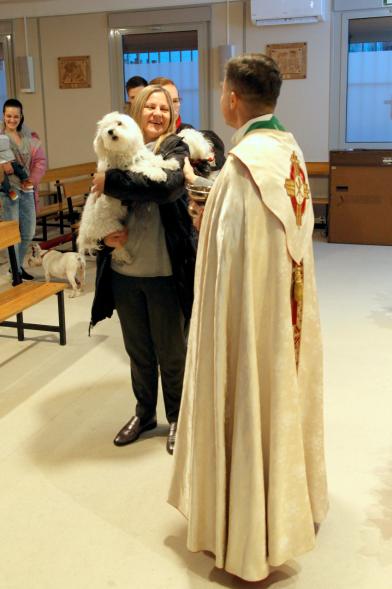 Bendición de Animales por San Antón en la Parroquia San Juan XXIII - Imagen de una persona acercando su perro para que el cura le bendiga.