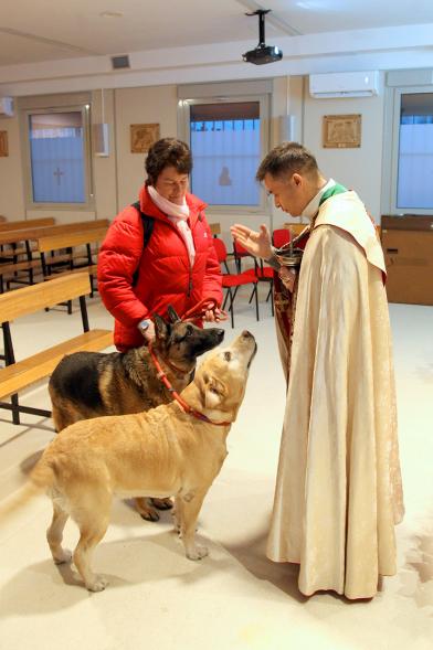 Bendición de Animales por San Antón en la Parroquia San Juan XXIII - Imagen de una persona acercando su perro para que el cura le bendiga.