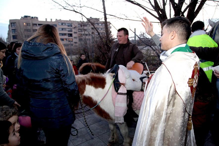 Bendición de Animales por San Antón en la Parroquia San Juan XXIII - Imagen del cura en el exterior de la iglesia bendiciendo a unos ponis.
