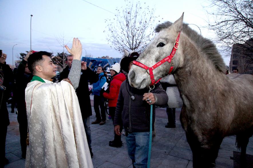 Bendición de Animales por San Antón en la Parroquia San Juan XXIII - Imagen del cura en el exterior de la iglesia bendiciendo a un caballo.