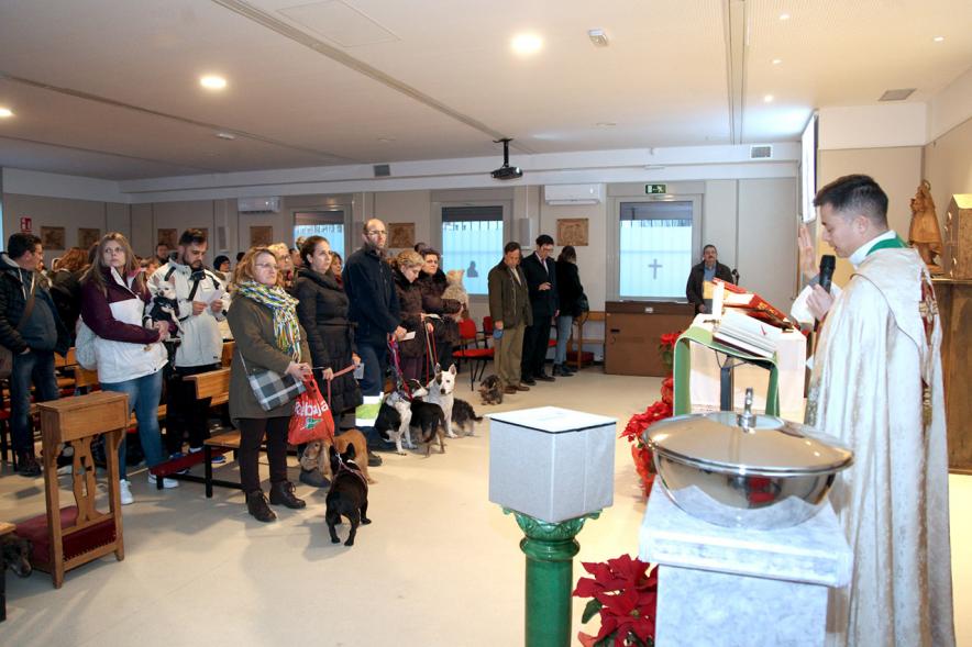 Bendición de Animales por San Antón en la Parroquia San Juan XXIII - Imagen de un momento de la misa, donde algunas personas están con sus mascotas.