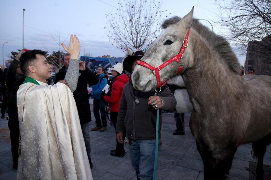 Bendición de Animales por San Antón en la Parroquia San Juan XXIII - Imagen del cura en el exterior de la iglesia bendiciendo a un caballo.