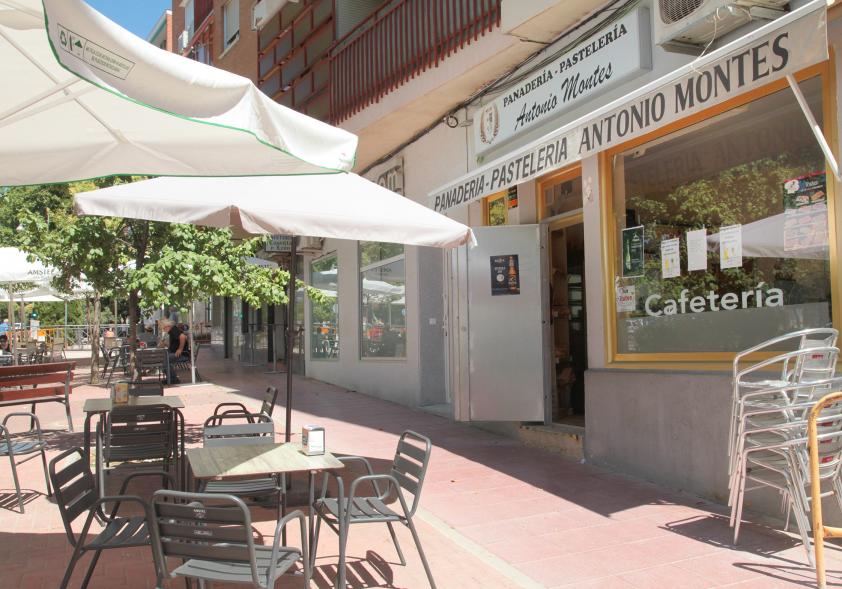 Concejales y Responsable Establecimiento