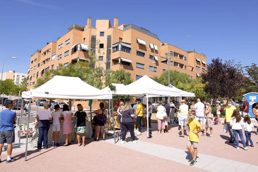 Mercado Ecológico en el Paseo Valdelasfuentes - Imagen vista general del lugar donde se celebra el mercado.