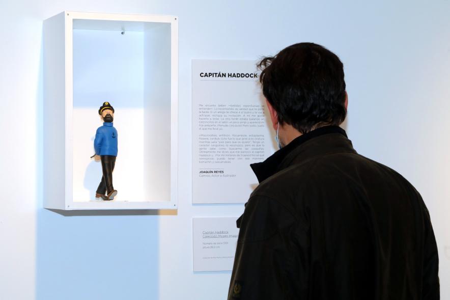   Inauguración Exposición "Miradas Tintinófilas" -  Imagen de persona mirando la exposición.
