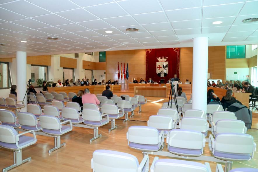 Sesión plenaria vista desde el fondo del salón de plenos